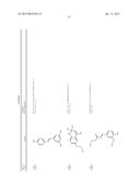 MODULATORS OF TOUSLED KINASE IN CELLULAR PROCESSES diagram and image