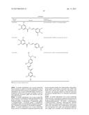 MODULATORS OF TOUSLED KINASE IN CELLULAR PROCESSES diagram and image