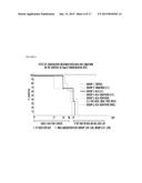 COMPOSITIONS COMPRISING NDGA DERIVATIVES AND SORAFENIB AND THEIR USE IN     TREATMENT OF CANCER diagram and image