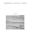 SIRTUIN INDUCER, TISSUE REPAIRING AGENT, HEPATOCYTE GROWTH FACTOR INDUCER,     TISSUE HOMEOSTASIS MAINTENANCE AGENT, AND TLR4 AGONIST, HAVING HYALURONIC     ACID FRAGMENT AS ACTIVE INGREDIENT diagram and image