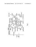 ANTI-TUMOR ACTIVITY OF REDUCED FOLATES LIKE METHYLENE-TETRAHYDROFOLATE diagram and image