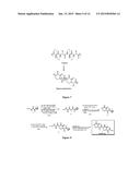 CONTROL OF HYPOXIA-INDUCIBLE GENE EXPRESSION WITH OLIGOOXOPIPERAZINE     NONPEPTIDIC HELIX MIMETICS diagram and image