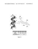 CONTROL OF HYPOXIA-INDUCIBLE GENE EXPRESSION WITH OLIGOOXOPIPERAZINE     NONPEPTIDIC HELIX MIMETICS diagram and image