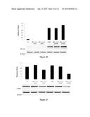 CONTROL OF HYPOXIA-INDUCIBLE GENE EXPRESSION WITH OLIGOOXOPIPERAZINE     NONPEPTIDIC HELIX MIMETICS diagram and image