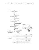 FARNESYLTRANSFERASE INHIBITORS FOR TREATMENT OF LAMINOPATHIES, CELLULAR     AGING AND ATHEROSCLEROSIS diagram and image