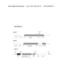 FARNESYLTRANSFERASE INHIBITORS FOR TREATMENT OF LAMINOPATHIES, CELLULAR     AGING AND ATHEROSCLEROSIS diagram and image