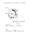 FARNESYLTRANSFERASE INHIBITORS FOR TREATMENT OF LAMINOPATHIES, CELLULAR     AGING AND ATHEROSCLEROSIS diagram and image