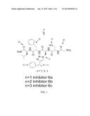 INHIBITORS TARGETING HUMAN GHRELIN O-ACYLTRANSFERASE diagram and image