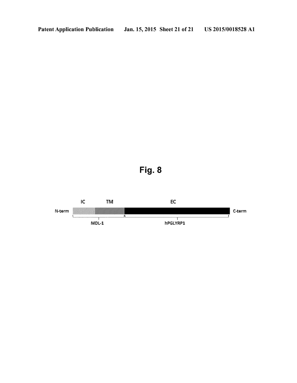 Antibodies That Bind Peptidoglycan Recognition Protein 1 - diagram, schematic, and image 22