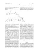 ANTI SEZ6 ANTIBODIES AND METHODS OF USE diagram and image