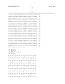 ANTI SEZ6 ANTIBODIES AND METHODS OF USE diagram and image