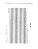 ANTI SEZ6 ANTIBODIES AND METHODS OF USE diagram and image