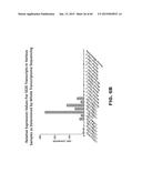 ANTI SEZ6 ANTIBODIES AND METHODS OF USE diagram and image