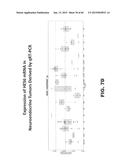 ANTI SEZ6 ANTIBODIES AND METHODS OF USE diagram and image