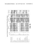 ANTI SEZ6 ANTIBODIES AND METHODS OF USE diagram and image