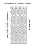 ANTI SEZ6 ANTIBODIES AND METHODS OF USE diagram and image