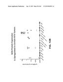 ANTI SEZ6 ANTIBODIES AND METHODS OF USE diagram and image