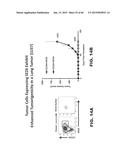 ANTI SEZ6 ANTIBODIES AND METHODS OF USE diagram and image