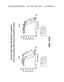 ANTI SEZ6 ANTIBODIES AND METHODS OF USE diagram and image