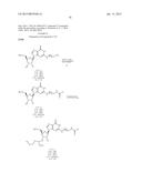 OLIGOMER-CONJUGATE COMPLEXES AND THEIR USE diagram and image