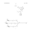 OLIGOMER-CONJUGATE COMPLEXES AND THEIR USE diagram and image