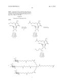 OLIGOMER-CONJUGATE COMPLEXES AND THEIR USE diagram and image