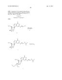 OLIGOMER-CONJUGATE COMPLEXES AND THEIR USE diagram and image