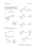 OLIGOMER-CONJUGATE COMPLEXES AND THEIR USE diagram and image