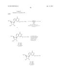 OLIGOMER-CONJUGATE COMPLEXES AND THEIR USE diagram and image