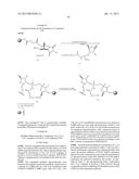 OLIGOMER-CONJUGATE COMPLEXES AND THEIR USE diagram and image