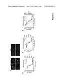 ANTI-INFECTIVE COMPOUNDS diagram and image