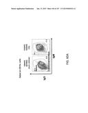 NON-HUMAN ANIMALS WITH MODIFIED IMMUNOGLOBULIN HEAVY CHAIN SEQUENCES diagram and image