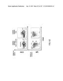 NON-HUMAN ANIMALS WITH MODIFIED IMMUNOGLOBULIN HEAVY CHAIN SEQUENCES diagram and image