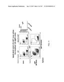 NON-HUMAN ANIMALS WITH MODIFIED IMMUNOGLOBULIN HEAVY CHAIN SEQUENCES diagram and image