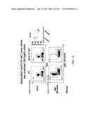 NON-HUMAN ANIMALS WITH MODIFIED IMMUNOGLOBULIN HEAVY CHAIN SEQUENCES diagram and image