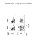 NON-HUMAN ANIMALS WITH MODIFIED IMMUNOGLOBULIN HEAVY CHAIN SEQUENCES diagram and image