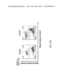 NON-HUMAN ANIMALS WITH MODIFIED IMMUNOGLOBULIN HEAVY CHAIN SEQUENCES diagram and image