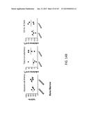 NON-HUMAN ANIMALS WITH MODIFIED IMMUNOGLOBULIN HEAVY CHAIN SEQUENCES diagram and image