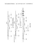 NON-HUMAN ANIMALS WITH MODIFIED IMMUNOGLOBULIN HEAVY CHAIN SEQUENCES diagram and image