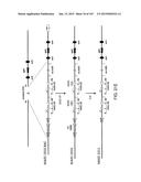 NON-HUMAN ANIMALS WITH MODIFIED IMMUNOGLOBULIN HEAVY CHAIN SEQUENCES diagram and image