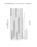 NON-HUMAN ANIMALS WITH MODIFIED IMMUNOGLOBULIN HEAVY CHAIN SEQUENCES diagram and image