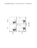 NON-HUMAN ANIMALS WITH MODIFIED IMMUNOGLOBULIN HEAVY CHAIN SEQUENCES diagram and image