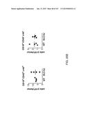 NON-HUMAN ANIMALS WITH MODIFIED IMMUNOGLOBULIN HEAVY CHAIN SEQUENCES diagram and image