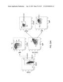 NON-HUMAN ANIMALS WITH MODIFIED IMMUNOGLOBULIN HEAVY CHAIN SEQUENCES diagram and image