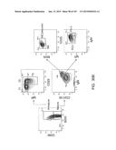 NON-HUMAN ANIMALS WITH MODIFIED IMMUNOGLOBULIN HEAVY CHAIN SEQUENCES diagram and image