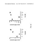 NON-HUMAN ANIMALS WITH MODIFIED IMMUNOGLOBULIN HEAVY CHAIN SEQUENCES diagram and image