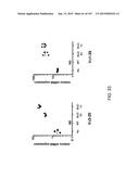 NON-HUMAN ANIMALS WITH MODIFIED IMMUNOGLOBULIN HEAVY CHAIN SEQUENCES diagram and image