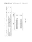 NON-HUMAN ANIMALS WITH MODIFIED IMMUNOGLOBULIN HEAVY CHAIN SEQUENCES diagram and image