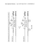 NON-HUMAN ANIMALS WITH MODIFIED IMMUNOGLOBULIN HEAVY CHAIN SEQUENCES diagram and image