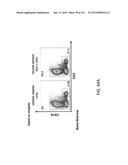 NON-HUMAN ANIMALS WITH MODIFIED IMMUNOGLOBULIN HEAVY CHAIN SEQUENCES diagram and image